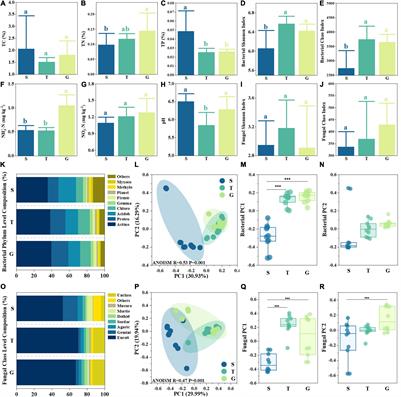 Phosphorus Shapes Soil Microbial Community Composition and Network Properties During Grassland Expansion Into Shrubs in Tibetan Dry Valleys